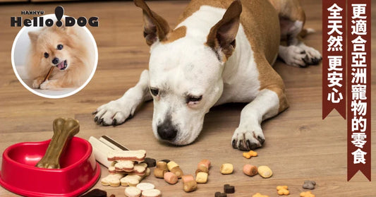 不僅僅是獎勵品!寵物零食好處多樣~為健康和樂趣保駕護航!一起探索更多關於寵物零食的優點吧~