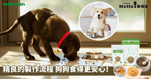 優質從源頭開始,卓越工藝鑄就頂級狗糧!一流的衛生潔淨,為您呈現最高標準、最優品質的寵物糧食選擇~