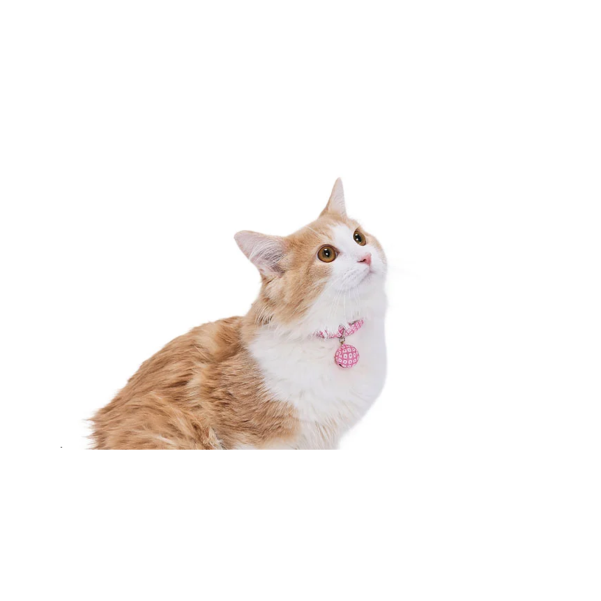 【Amo.K】 Cat Collar - Japanese Pattern