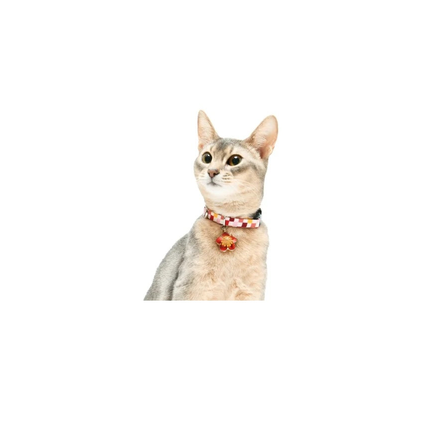 【Amo.K】 Cat Collar - Spring