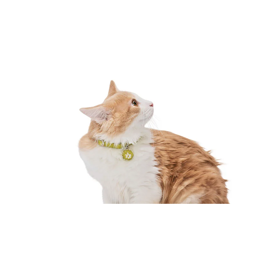 【Amo.K】 Cat Collar - Japanese Pattern