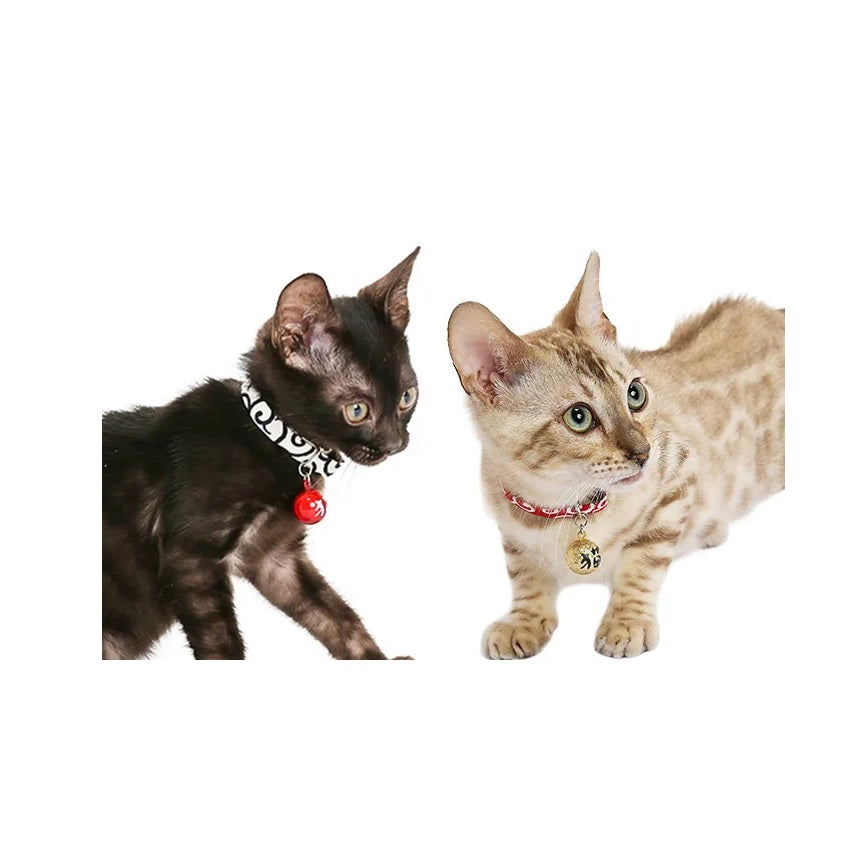 【Amo.K】 Cat Collar - Arabesque