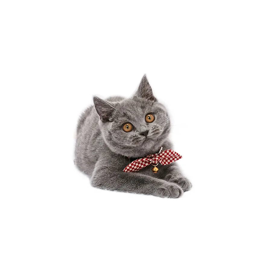 【Amo.K】 Cat Collar - Checkered