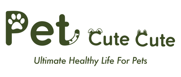 PetCuteCute