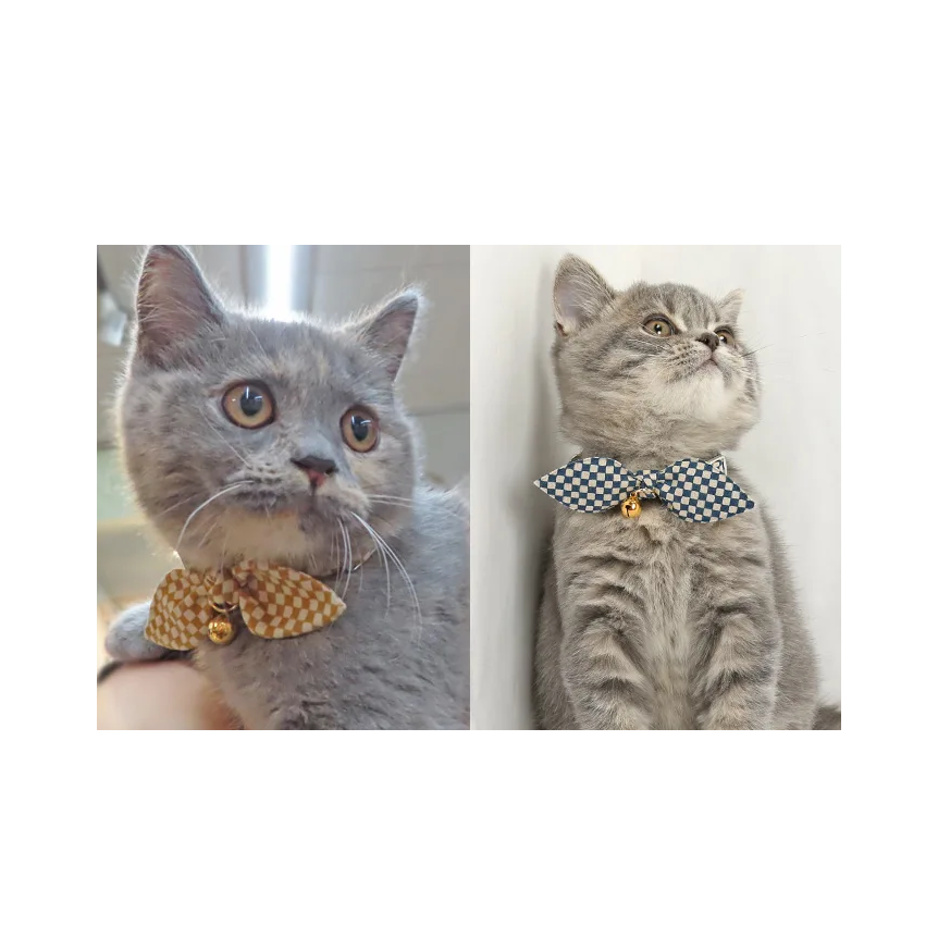 【Amo.K】 Cat Collar - Checkered