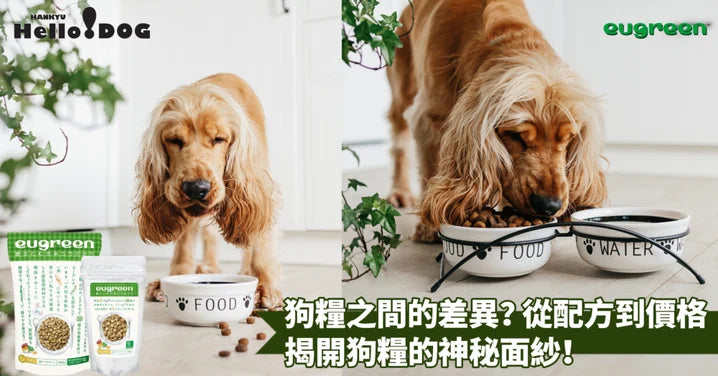 狗糧配方大解密！貴價狗糧是否值得購入？深入剖析不同價格狗糧的差異，揭開高級狗糧的真相與優勢～