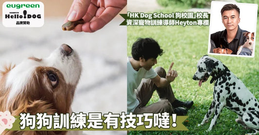 美味誘惑是狗狗訓練的秘密武器喔！7大重點揭示食物獎勵的神奇力量～
