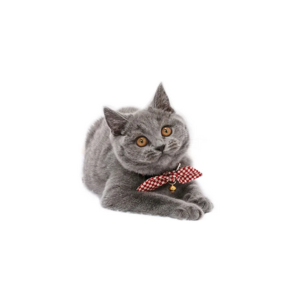 【Amo.K】 Cat Collar - Checkered
